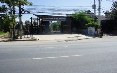 DSC03781