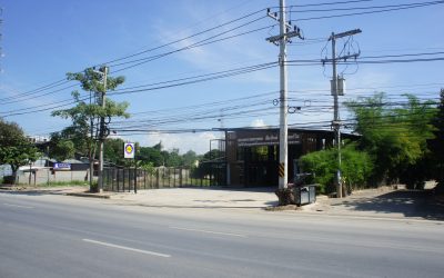 DSC03782